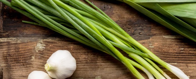 alimentación para cartílagos